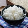 SpicyRice