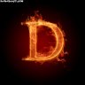 Danitorch