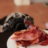 Sky_Bacon