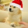 zeppy