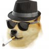 SooperAwesome