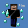 piminecraft2000