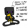 EnderAngel4