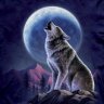 Wolfessmoon