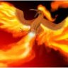 FireRaven4564