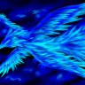 BlueEarthPhoenix