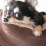 mindym2001