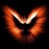 Firebirdx8