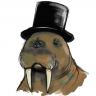 MysteriousWalrus
