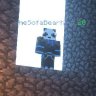 TheSofaBearKing