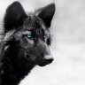 FieryWolf
