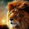 alphalion10100