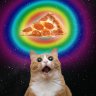 PizzaCat