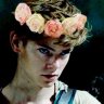 Wildflower