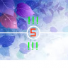 NexultaS