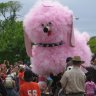 pinkd0g145