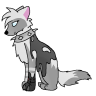 LiviDiviLizard