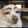 busterpants
