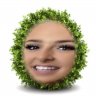 StephTheMidget