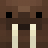 walrus