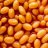 Beanstew