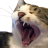 sullyrox