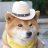 ACuteDoggo