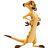 Marcego