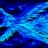 BlueEarthPhoenix
