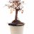 Treebucket118