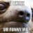 TheWyatt2012