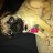 pugs333