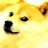 JakeDogg