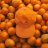 DarlingClementine