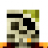 SkeletonWarrior