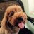 owen_0909