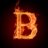 TheBlackBear