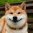 very happy shibe