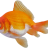 FrEsHfIsH